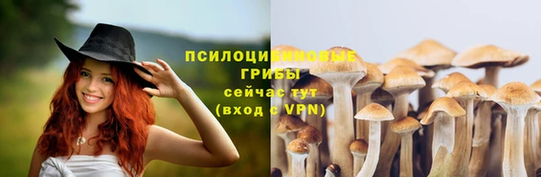 ALPHA PVP Арсеньев