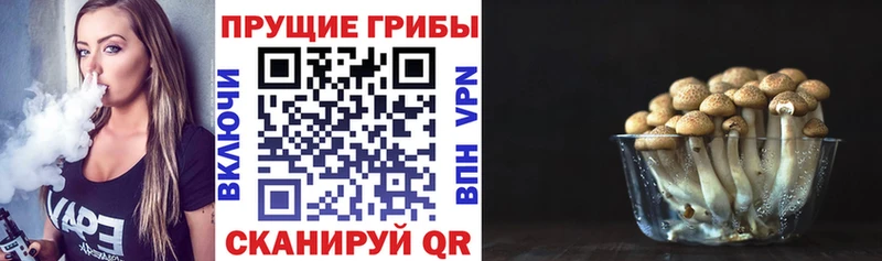 blacksprut   Рыльск  Галлюциногенные грибы Psilocybine cubensis 