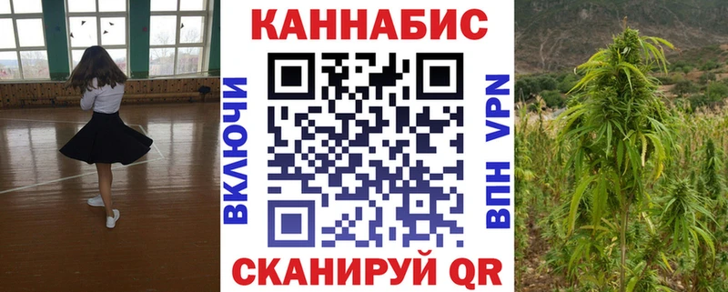 Конопля гибрид  Рыльск 